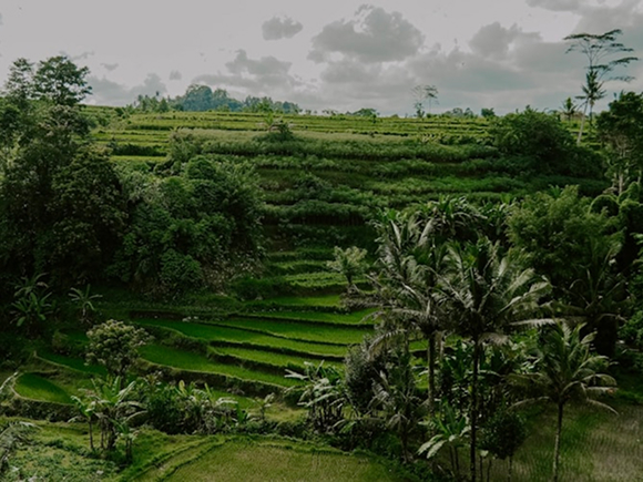 Kawasan Bernilai yang terdampak