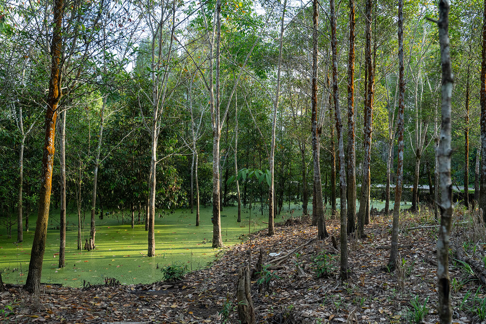 <p>Kabupaten</p><p>kaya hutan</p><p></p>